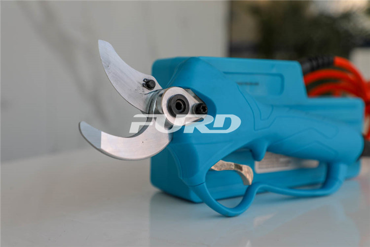 CZ4A5774.jpg CZ4A5774.jpg